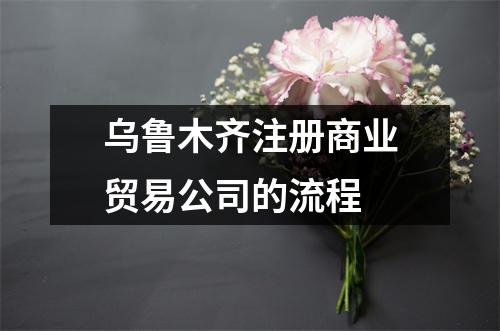 烏魯木齊注冊商業(yè)貿(mào)易公司的流程