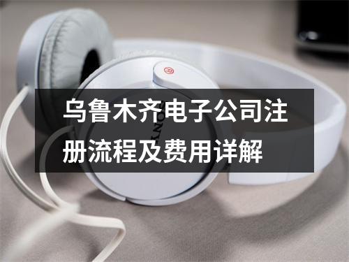 烏魯木齊電子公司注冊(cè)流程及費(fèi)用詳解