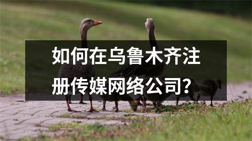 如何在烏魯木齊注冊傳媒網(wǎng)絡(luò)公司？
