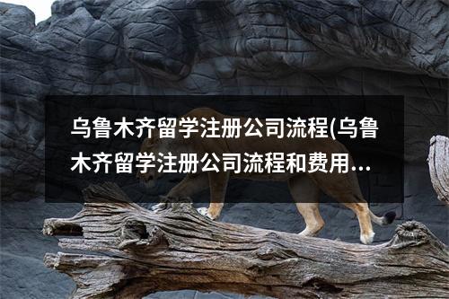 烏魯木齊留學(xué)注冊公司流程(烏魯木齊留學(xué)注冊公司流程和費用標(biāo)準(zhǔn))