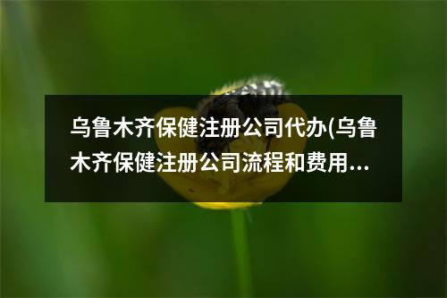 烏魯木齊保健注冊公司代辦(烏魯木齊保健注冊公司流程和費用標準)