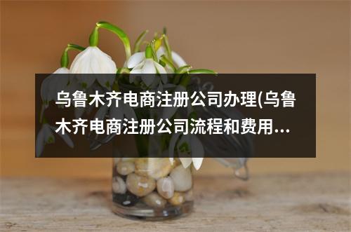 烏魯木齊電商注冊(cè)公司辦理(烏魯木齊電商注冊(cè)公司流程和費(fèi)用標(biāo)準(zhǔn))