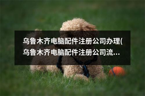 烏魯木齊電腦配件注冊(cè)公司辦理(烏魯木齊電腦配件注冊(cè)公司流程和費(fèi)用標(biāo)準(zhǔn))