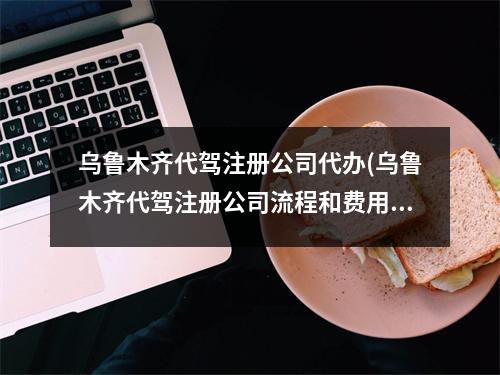烏魯木齊代駕注冊公司代辦(烏魯木齊代駕注冊公司流程和費(fèi)用標(biāo)準(zhǔn))