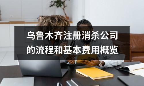 烏魯木齊注冊消殺公司的流程和基本費用概覽
