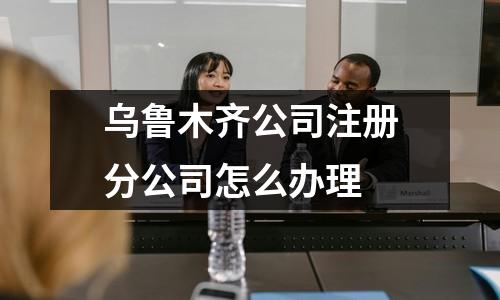 烏魯木齊公司注冊分公司怎么辦理