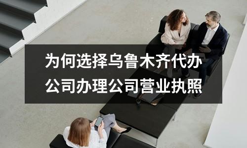 為何選擇烏魯木齊代辦公司辦理公司營(yíng)業(yè)執(zhí)照