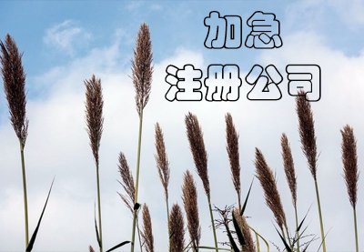 烏魯木齊公司注冊(cè)流程是怎樣的？
