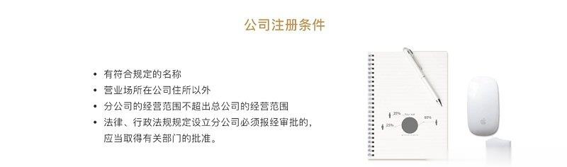 內(nèi)資分公司注冊(cè)