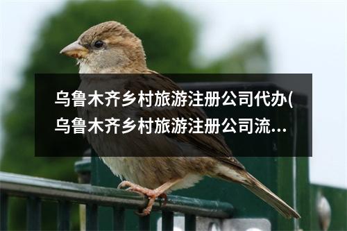 烏魯木齊鄉(xiāng)村旅游注冊公司代辦(烏魯木齊鄉(xiāng)村旅游注冊公司流程和費(fèi)用標(biāo)準(zhǔn))