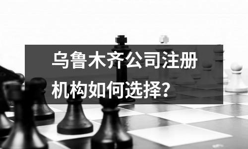 烏魯木齊公司注冊(cè)機(jī)構(gòu)如何選擇？