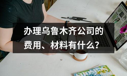 辦理烏魯木齊公司的費(fèi)用、材料有什么？
