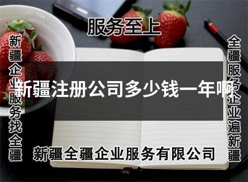 新疆注冊(cè)公司多少錢一年啊