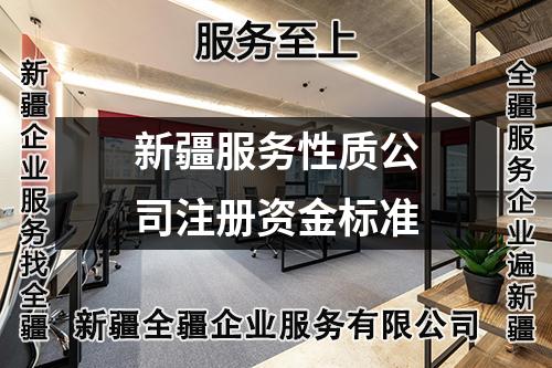 新疆服務(wù)性質(zhì)公司注冊資金標(biāo)準(zhǔn)