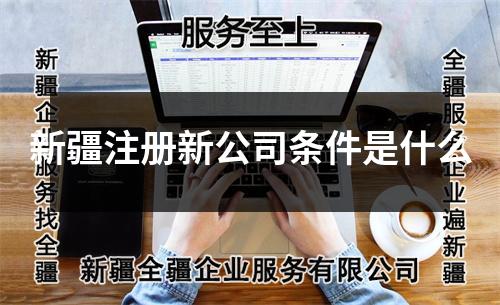 新疆注冊(cè)新公司條件是什么