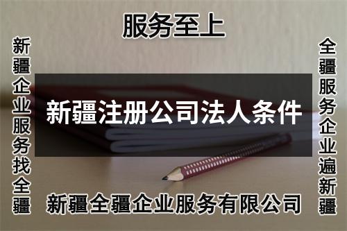 新疆注冊(cè)公司法人條件