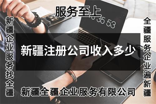 新疆注冊公司收入多少