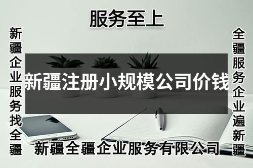 新疆注冊小規(guī)模公司價(jià)錢