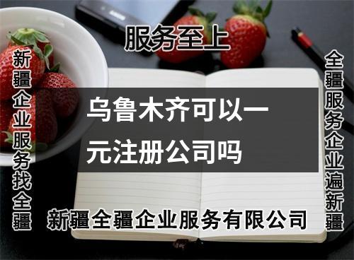 烏魯木齊可以一元注冊公司嗎