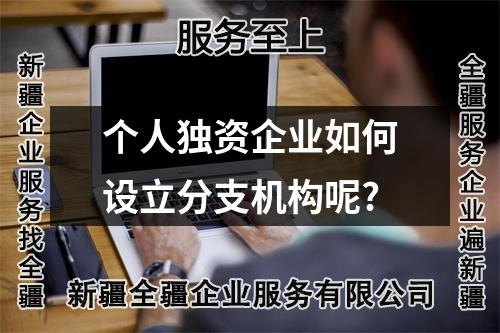 個人獨(dú)資企業(yè)如何設(shè)立分支機(jī)構(gòu)呢?
