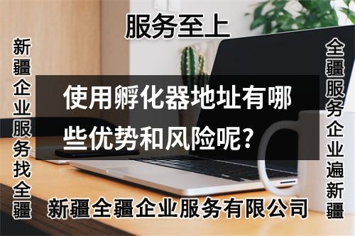 使用孵化器地址有哪些優(yōu)勢和風(fēng)險呢?