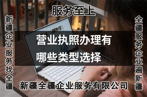 營業(yè)執(zhí)照辦理有哪些類型選擇