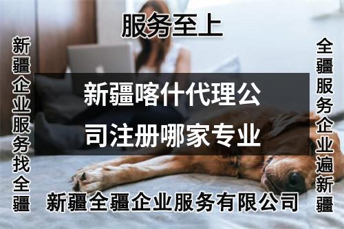 新疆喀什代理公司注冊(cè)哪家專(zhuān)業(yè)