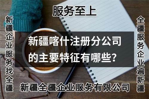 新疆喀什注冊分公司的主要特征有哪些？